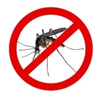 Mosquito-Control